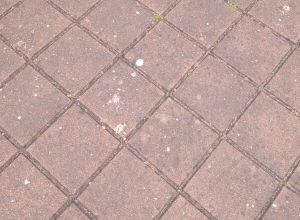 Broušení krovu a čištění dlažby u rodinného domu Pardubice