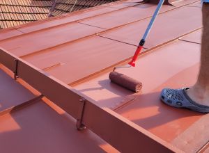 Čištění a nátěr plechové střechy