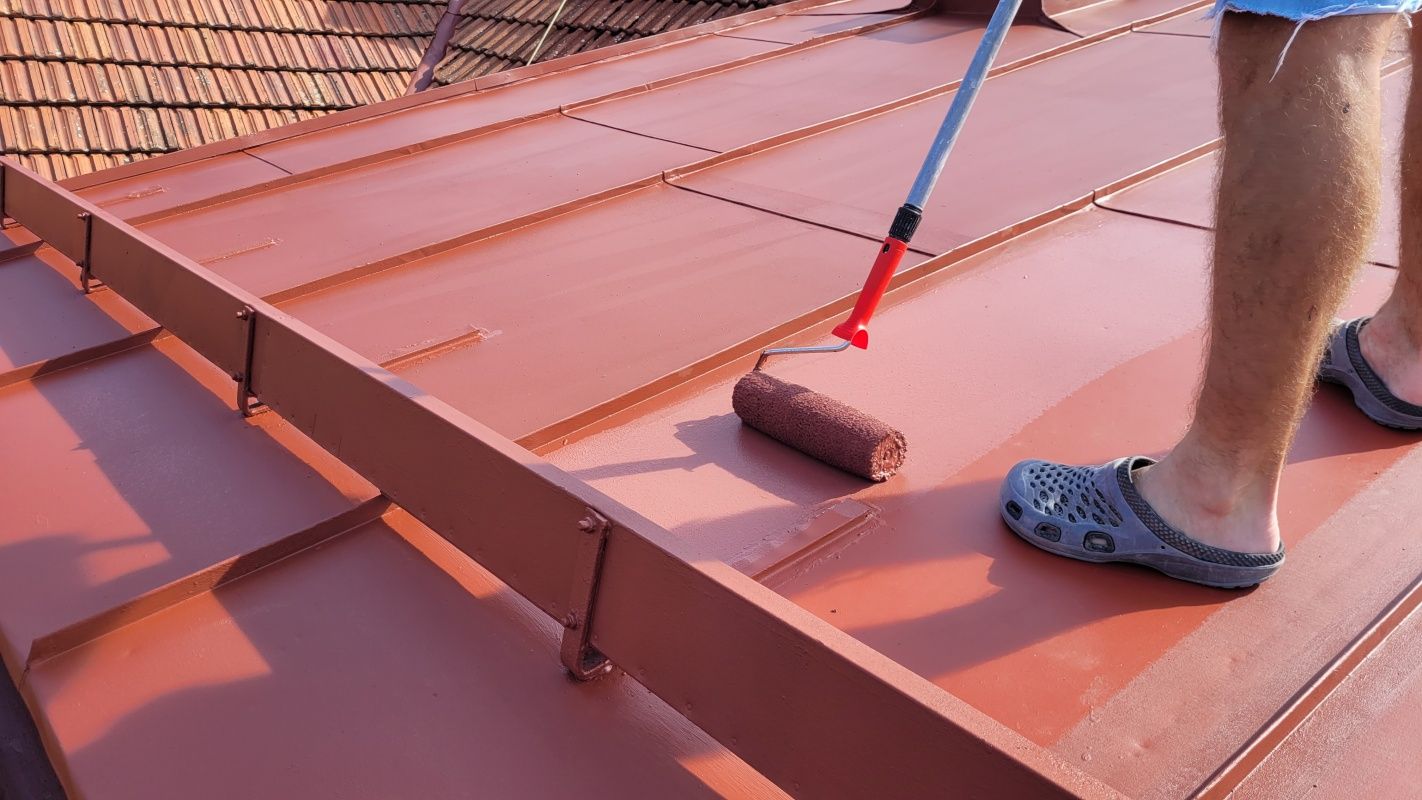 Čistění a nátěr plechové střechy