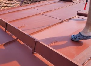 Čištění a nátěr plechové střechy