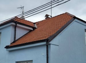 Čištění a nátěr střechy, fasády