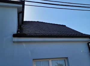 Čištění a nátěr střechy, fasády