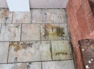 Čištění střechy, fasády a dlažby + biocidní ochrana Chrudim