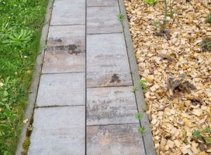 Čištění střechy, fasády a dlažby + biocidní ochrana Chrudim