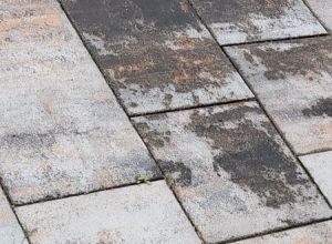 Čištění střechy, fasády a dlažby + biocidní ochrana Chrudim