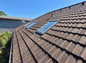 Čištění střešní krytiny, fasády a dlažby Heřmanův Městec