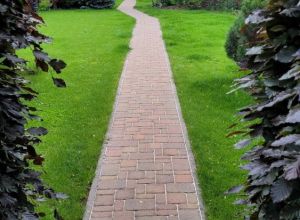 Čištění střešní krytiny, fasády a dlažby Heřmanův Městec