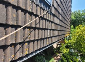 Čištění střešní krytiny, fasády a dlažby Heřmanův Městec