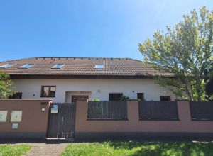 Čištění střešní krytiny, fasády a dlažby Heřmanův Městec