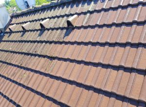 Čištění střešní krytiny, fasády a dlažby Heřmanův Městec