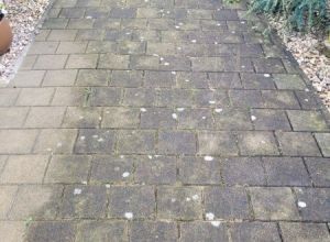 Mytí a ochrana dlažby Svítkov