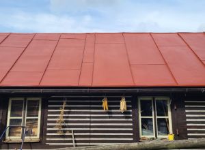 Nátěr plechové střechy Jankovice Chrudim